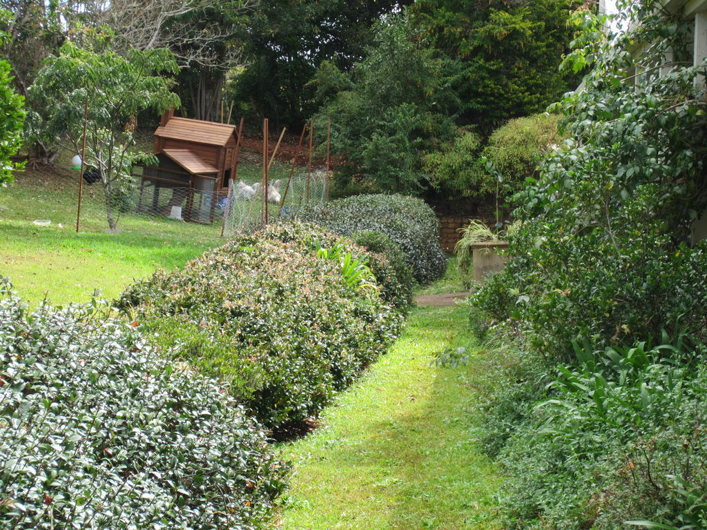 Eden Lodge Nambour Exterior photo
